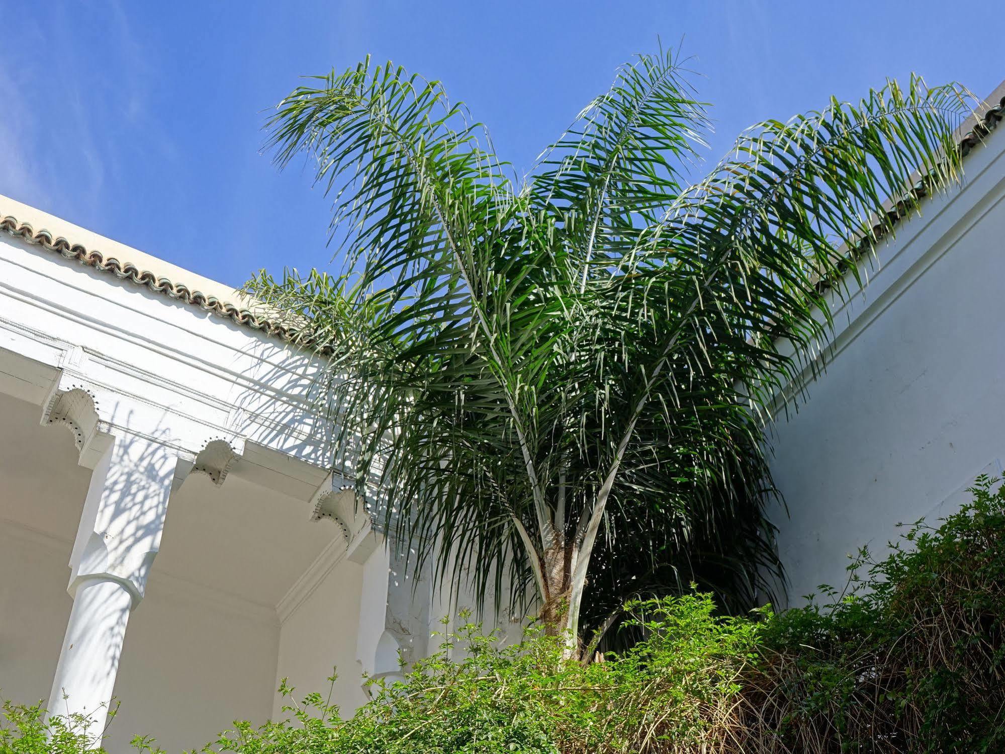 Riad Al Assala Marrakesh Exterior foto